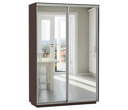 

Шкаф-купе Bravomebel, Черное дерево, D2-03 220 х 60 черное дерево