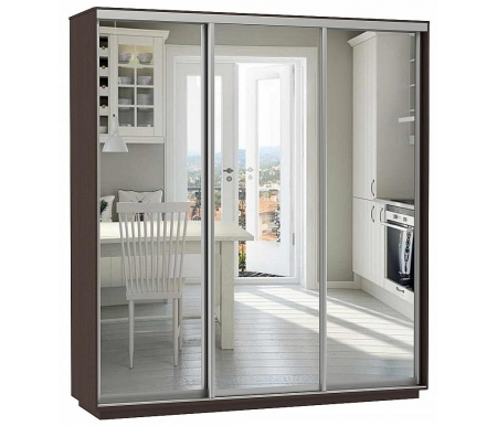 

Шкаф-купе Bravomebel, Чёрное дерево, D3-04 220 х 60 черное дерево