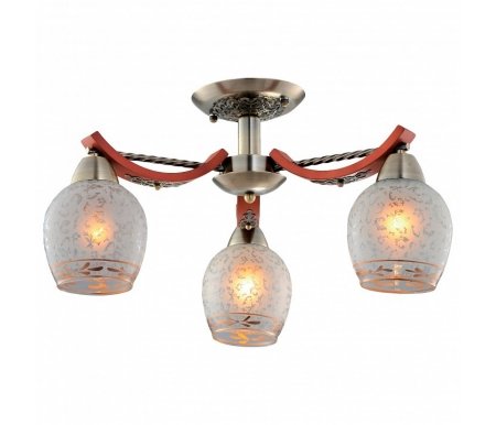 

Люстра на штанге Citilux, Вуди CL165133