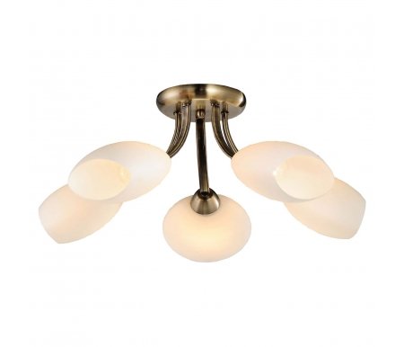 

Потолочная люстра Lussole, LGO-25 LSP-0189