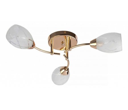 

Потолочная люстра TopLight, Lucy TL7120X-03FG