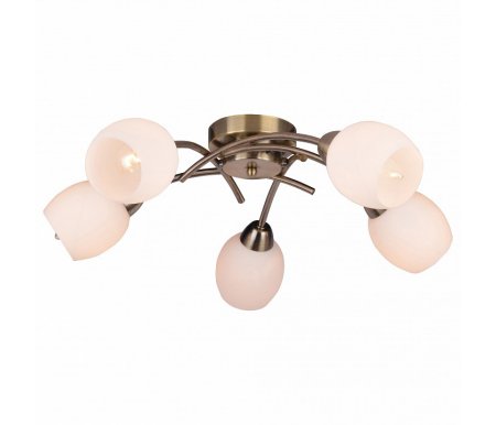 

Потолочная люстра TopLight, Merry TL3780X-05AB