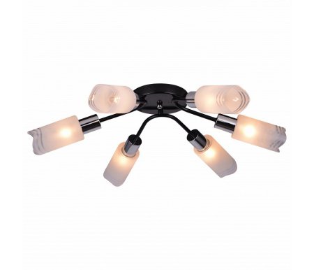 

Потолочная люстра TopLight, Sabina TL3680X-06BC