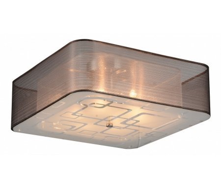 

Потолочный светильник ST-Luce, ST Luce SL940.802.06