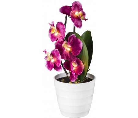 

Настольная лампа Globo, Orphelia 28022P