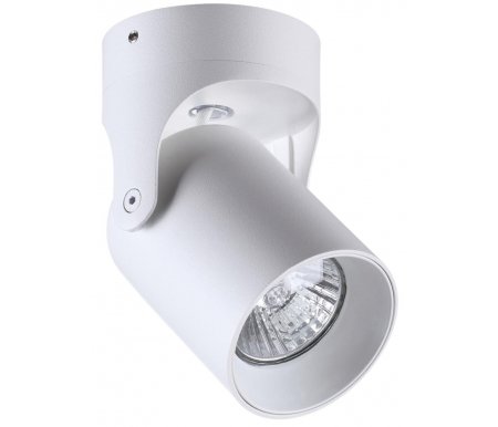 

Спот Odeon Light, Corsus 3854/1C