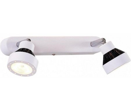 

Спот Citilux, Данди CL557521