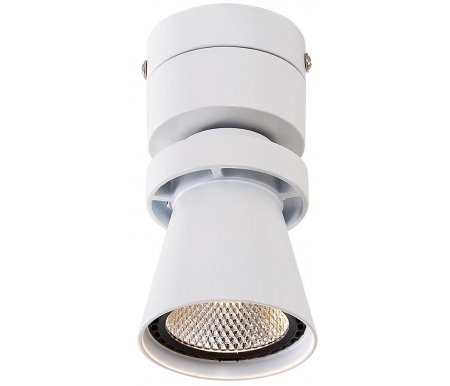 

Спот Citilux, Дубль-1 CL556510
