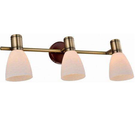 

Спот TopLight, Sharyl TL3720Y-03BB