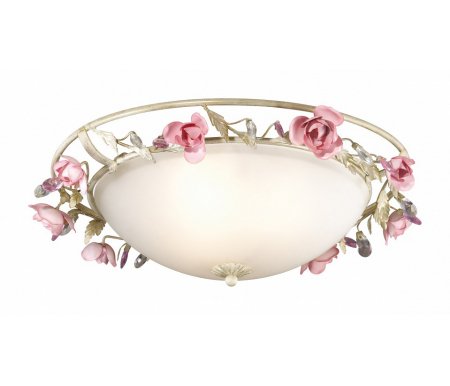 

Накладной светильник Odeon Light, Oxonia 2585/3
