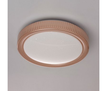 

Потолочная люстра MW-Light, Ривз 674014001