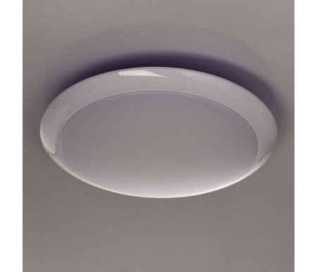 

Потолочная люстра MW-Light, Ривз 674014301