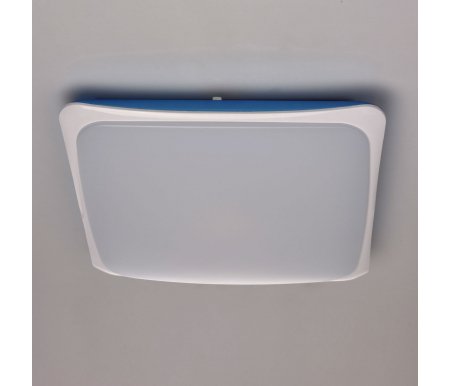

Потолочный светильник MW-Light, Ривз 674014401