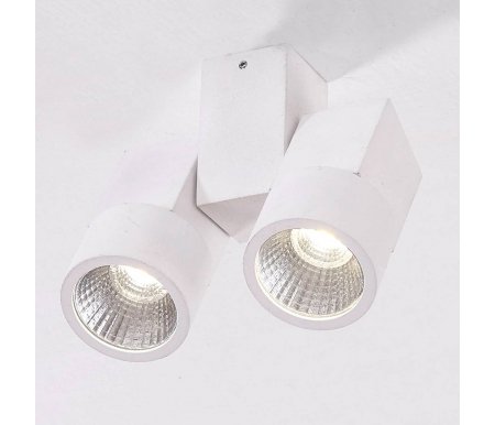 

Потолочный светильник Citilux, Citilux Дубль CL556100