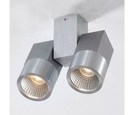 

Потолочный светильник Citilux, Citilux Дубль CL556101