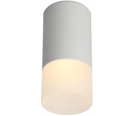 

Потолочный светильник Omnilux, Lucido OML-100609-01