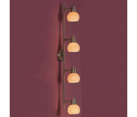

Спот Citilux, Бонго CL516543