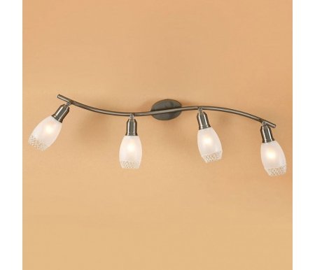 

Спот Citilux, Мери CL524541