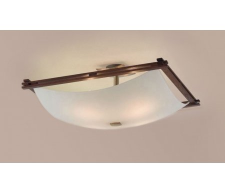 

Светильник на штанге Citilux, 937 CL937333