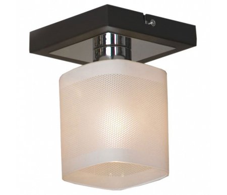 

Накладной светильник на штанге Lussole, Costanzo LSL-9007-01