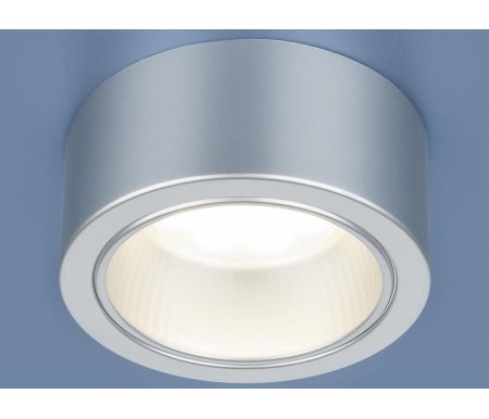 

Накладной светильник Elektrostandard, 4690389087561