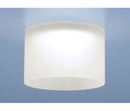 

Светильник Elektrostandard, Down Light 4690389134111