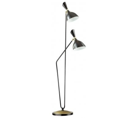 

Торшер Odeon Light, Rasto 4665/2F